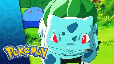 pokemon bulbasaur and the hidden village|pokemon bulbasaur episode.